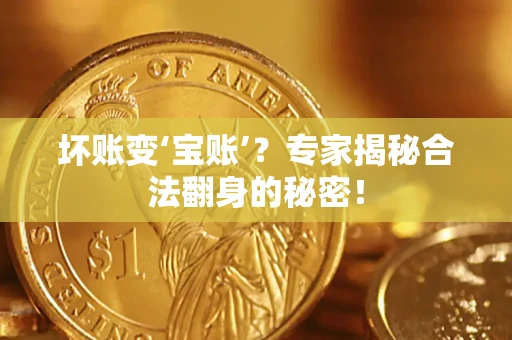 北京坏账变‘宝账’?专家揭秘合法翻身的秘密! 北京坏账变‘宝账’?专家揭秘合法翻身的秘密!
